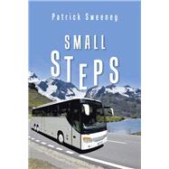 Small Steps 9781984593054