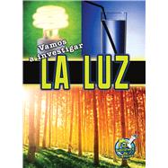Vamos a investigar la luz / Let's Investigate Light 9781627173056