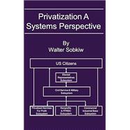 Privatization A Systems Perspective