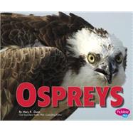 Ospreys 9781491423097