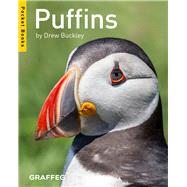 Puffins 9781909823105