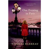 One Evening in Paris A Novel 9781250043122