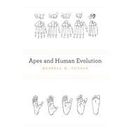 Apes and Human Evolution