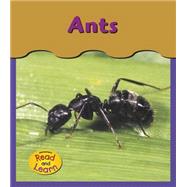 Ants