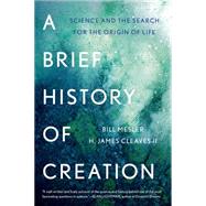 A Brief History of Creation 9780393353198
