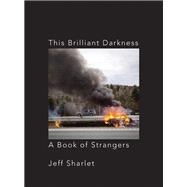 This Brilliant Darkness 9781324003205