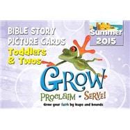 Grow, Proclaim, Serve! Toddlers & Twos Bible Story Picture Cards Summer 2015 9781426783210