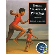 Human Anatomy and Physiology