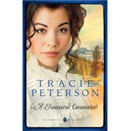 A Treasure Concealed 9780764213243