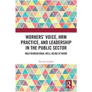 Workers' Voice and HRM Practice in the Public Sector: Multi-dimensional Well-being at Work 9781409453253