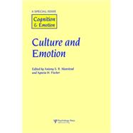 Culture and Emotion: A Special Issue of Cognition and Emotion 9781138883260