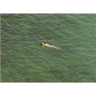 Richard Misrach 9781597113274