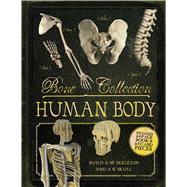 Bone Collection