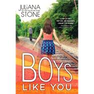 Boys Like You 9781492603290