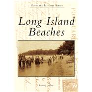 Long Island Beaches 9781467103299