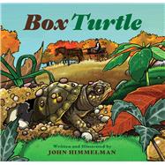 Box Turtle