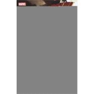 Daredevil by Ed Brubaker & Michael Lark Ultimate Collection - Book 2 9780785163350