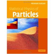 Statistical Physics of Particles