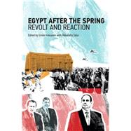 Egypt after the Spring: Revolt and Reaction 9781138653429