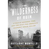 The Wilderness of Ruin: A Tale of Madness, Fire, and the Hunt for America's Youngest Serial Killer 9780062273475