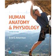 Human Anatomy & Physiology 9780134553511