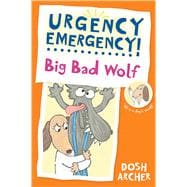 Big Bad Wolf 9780807583517