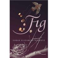 Fig 9781481423588