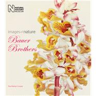 The Bauer Brothers 9780565093594