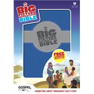 HCSB Big Picture Interactive Bible, Blue/Silver LeatherTouch 9781433613623