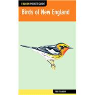 Falcon Pocket Guide: Birds of New England 9780762783625