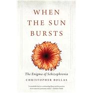 When the Sun Bursts 9780300223651