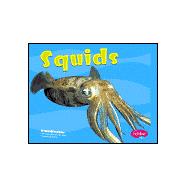 Squids