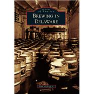 Brewing in Delaware 9781467123686