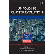 Unfolding Cluster Evolution