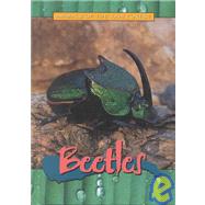 Beetles