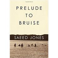 Prelude to Bruise 9781566893749