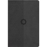 The HCSB Essential Teen Study Bible, Charcoal LeatherTouch 9781433613753