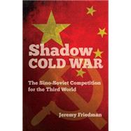 Shadow Cold War