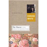 The Flaneur A Stroll through the Paradoxes of Paris 9781632863775