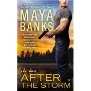 After the Storm 9780425263778
