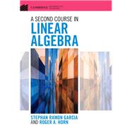 A Second Course in Linear Algebra