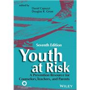 Youth at Risk 9781556203848