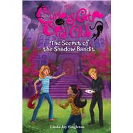 The Secret of the Shadow Bandit 9780807513859