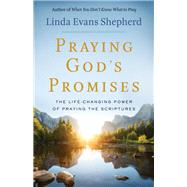 Praying God's Promises 9780800723897