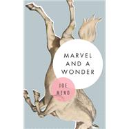 Marvel and a Wonder 9781617753947