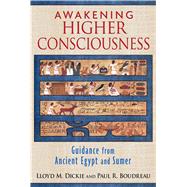 Awakening Higher Consciousness 9781620553947