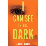 I Can See in the Dark 9780544483989