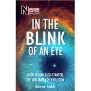 In the Blink of an Eye 9780565094003