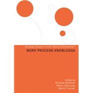 Work Process Knowledge 9781138864009
