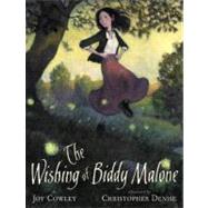 The Wishing of Biddy Malone 9780399234040